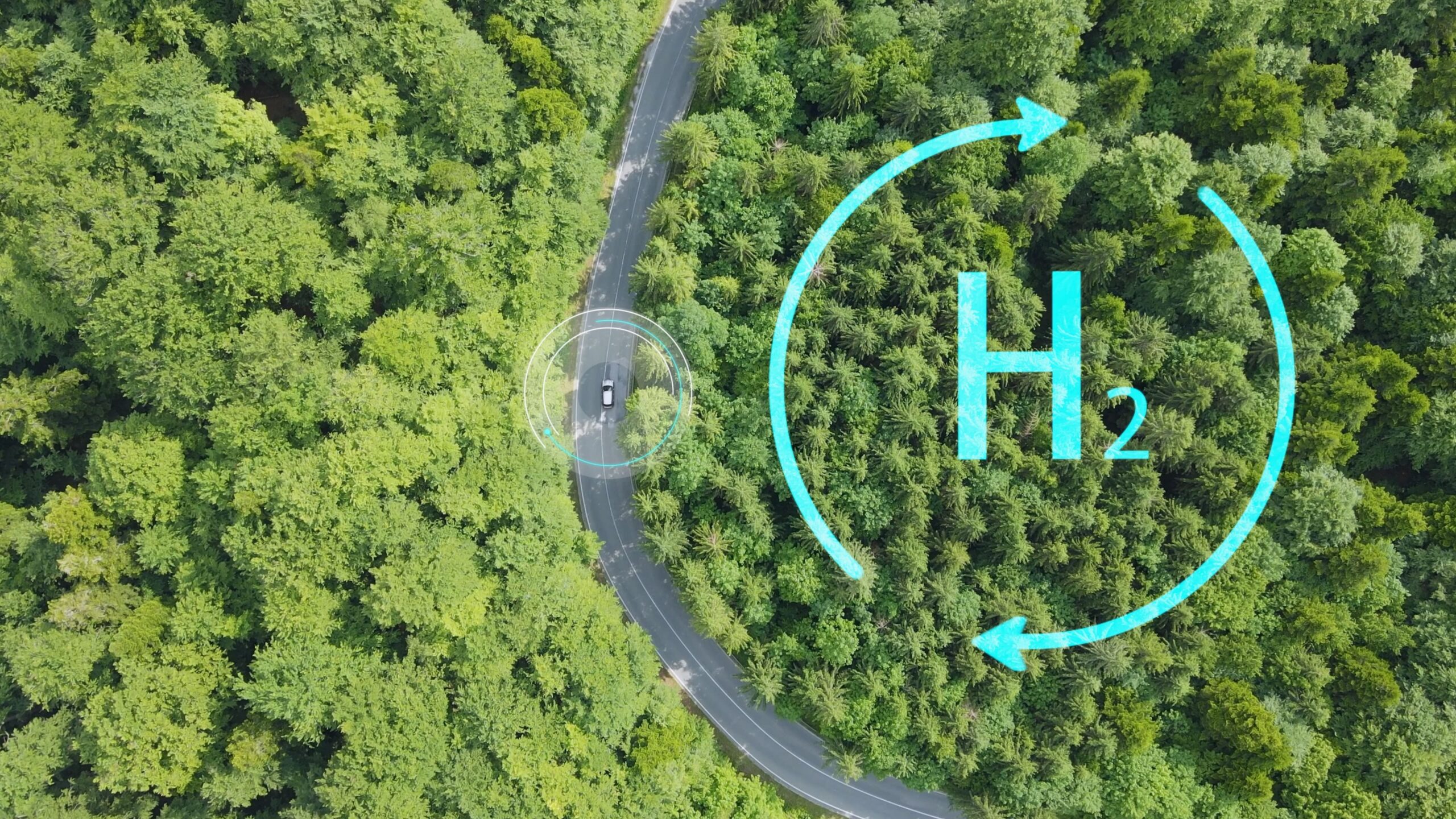 AdobeStock_633500166 (1)